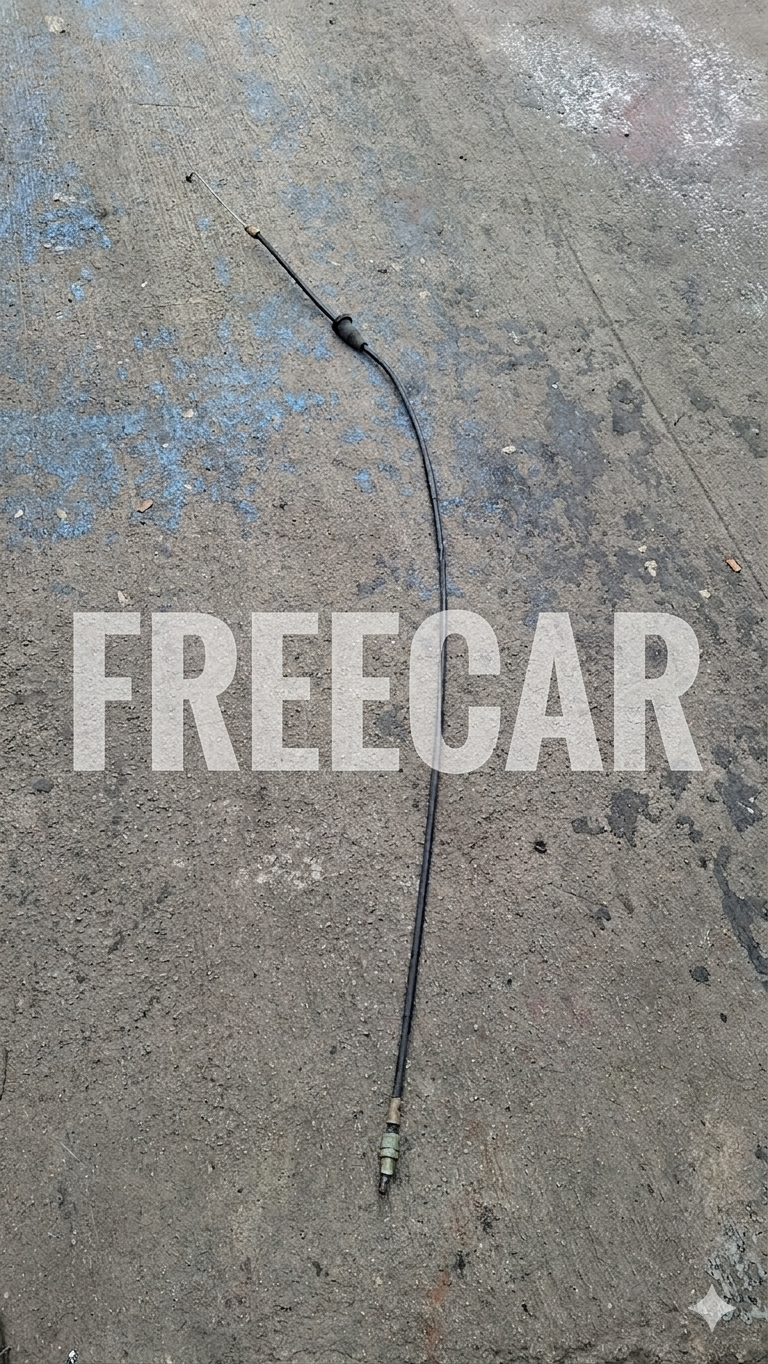 Freemont Park Fren Teli Ön